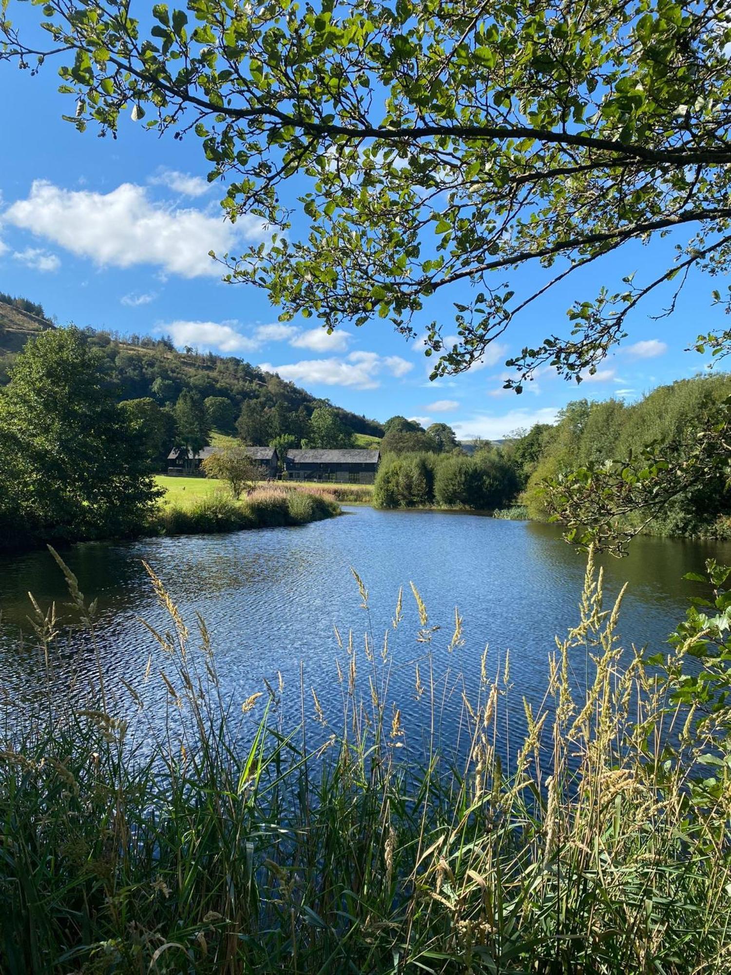 Lake Cottages At Cwm Chwefru Llanafan-fawr Exterior photo